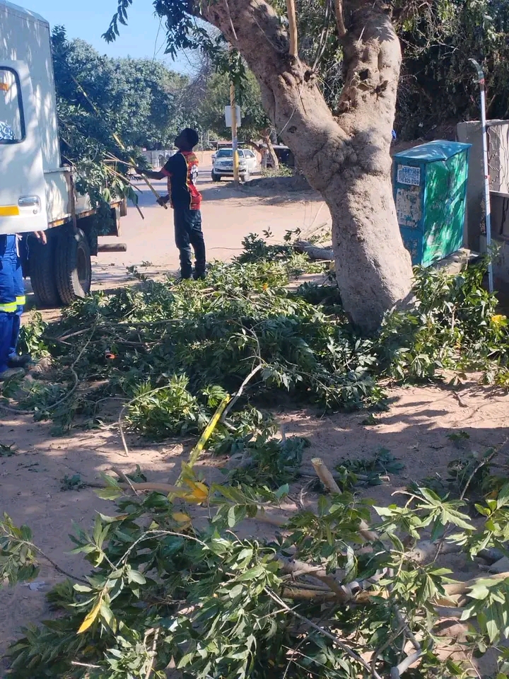 Lephalale Local Municipality urged drivers to be cautious when driving on Nelson Mandela Road
